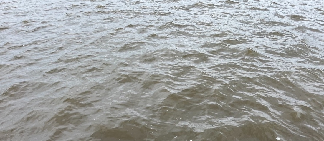 Уровень воды резко поднялся в реках Вологодского округа