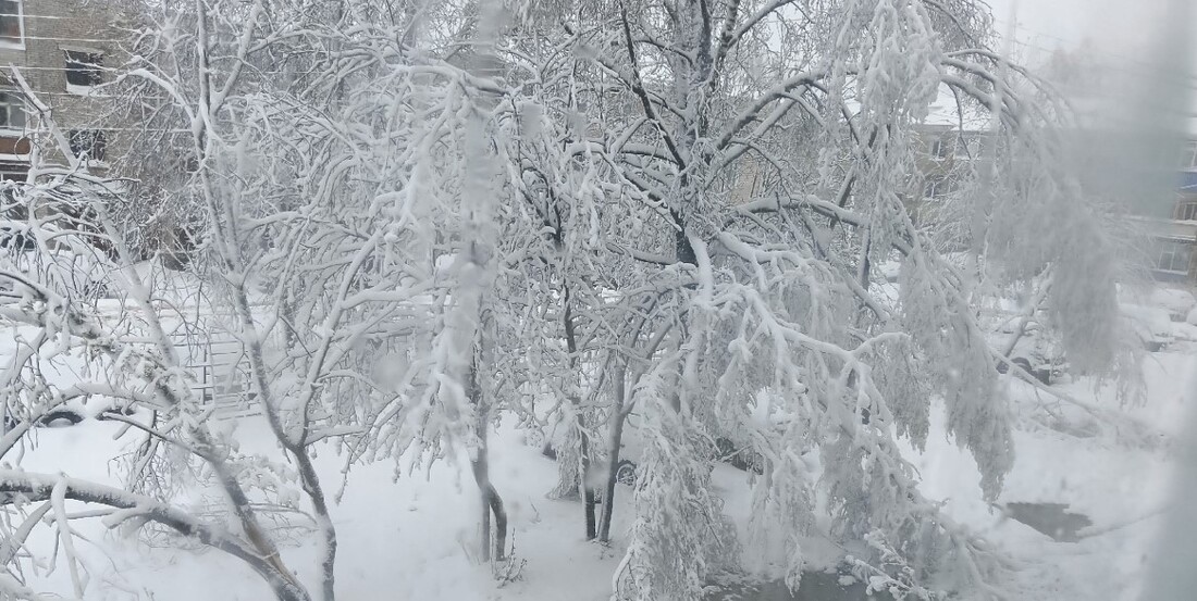 Специалисты устраняют последствия разгула стихии в Вологодской области