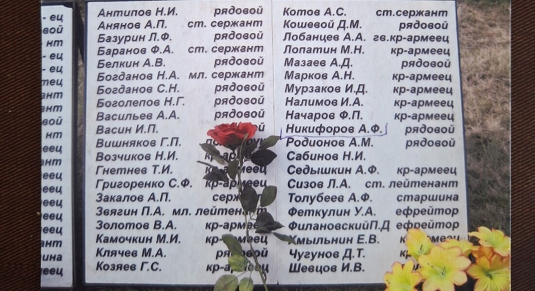 Останки погибшего вологодского красноармейца нашли в Ленинградской области