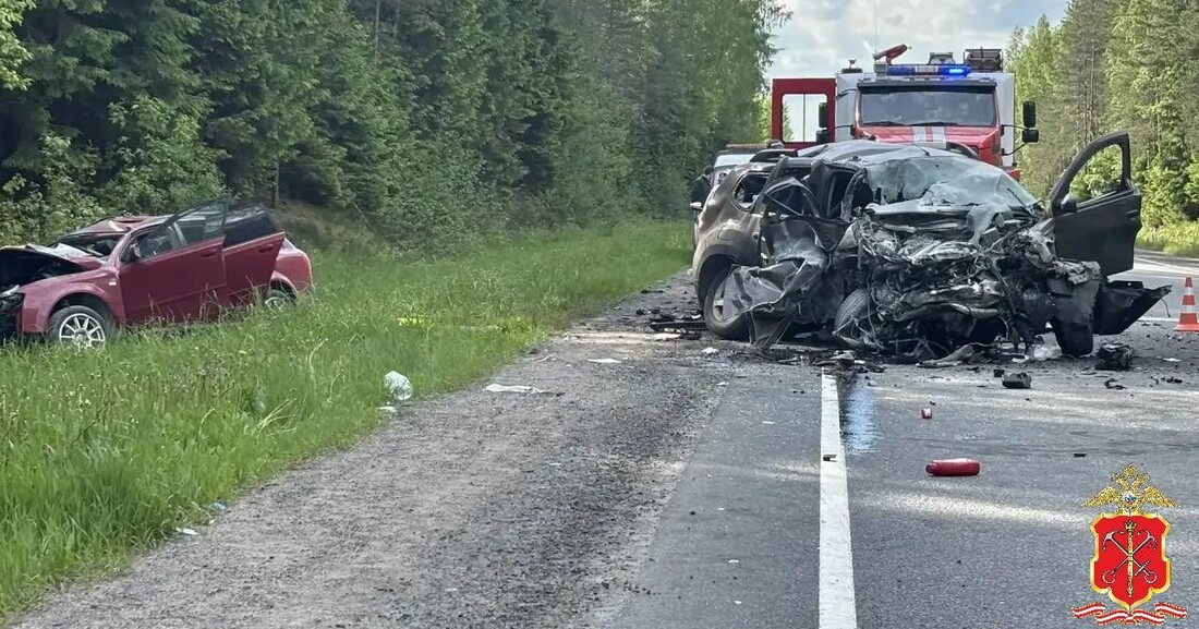 Четверо череповчан погибли в страшной аварии в Ленинградской области