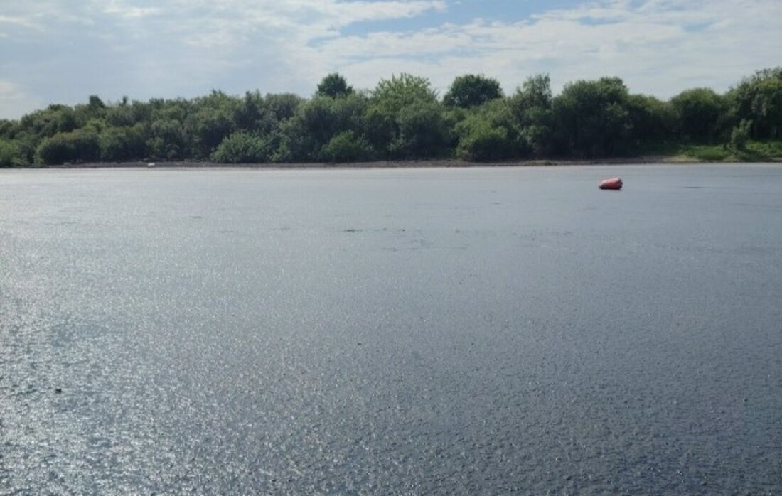 Следственный комитет начал проверку по факту загрязнения водоёма в Вологде