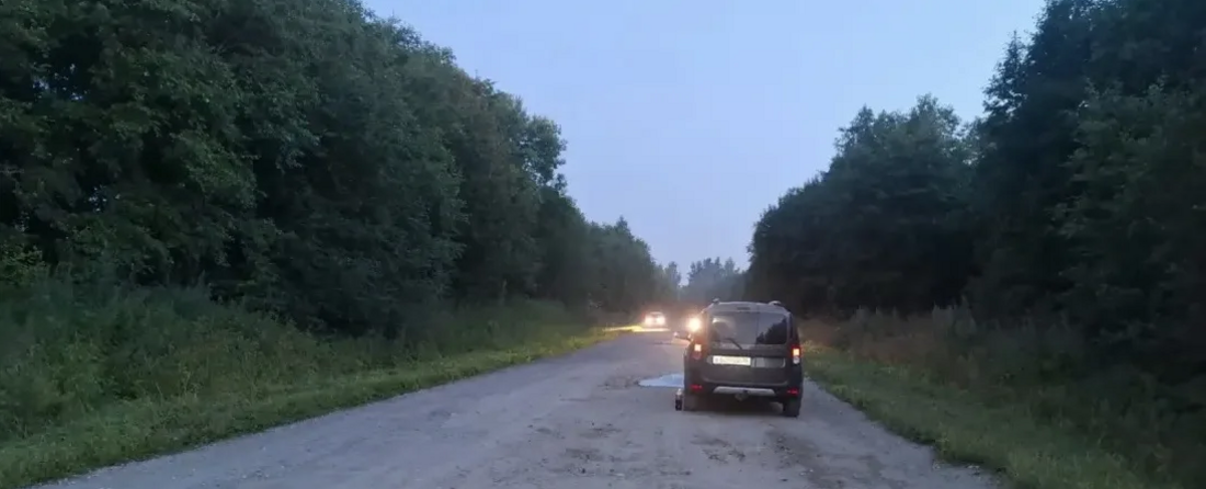 Пешеход погиб в результате ДТП в Бабаевском округе