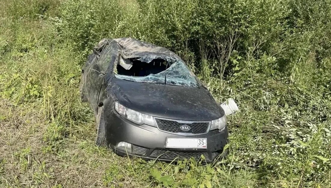 Пожилой мужчина погиб в ДТП в Сокольском округе