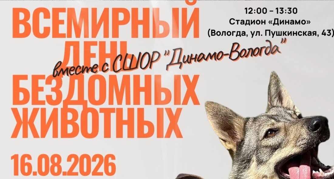 Выставка животных «Приюта надежды» пройдёт на стадионе «Динамо» в Вологде