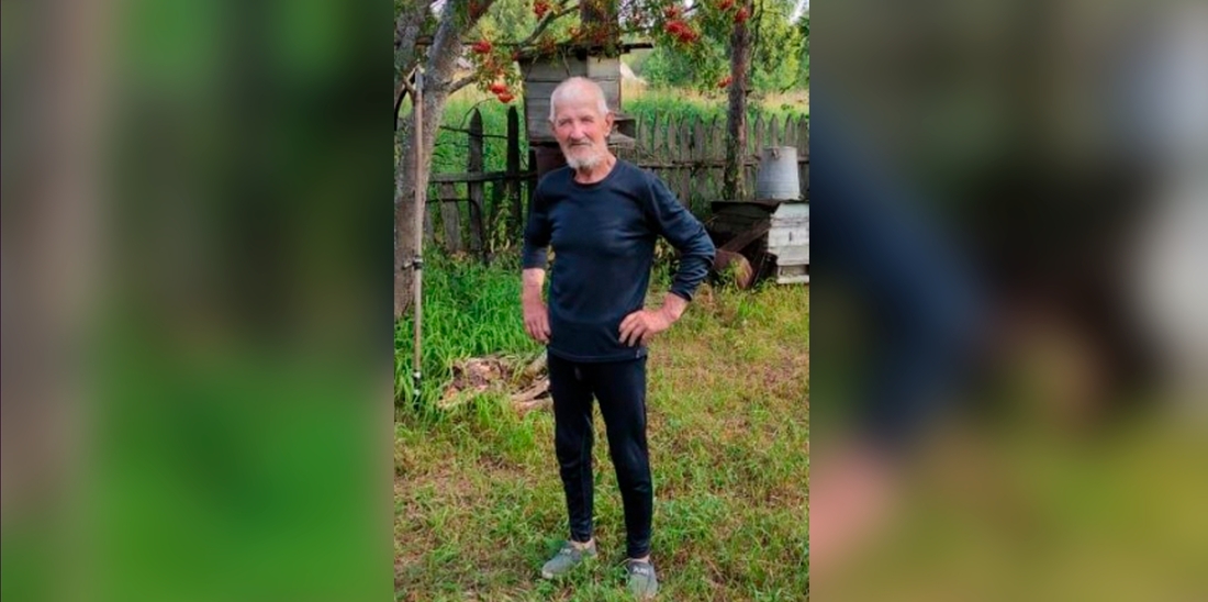 83-летнего мужчину разыскивают в Вологодской области