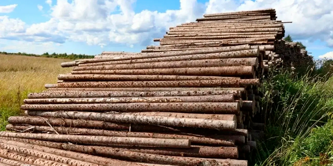 Незаконный склад древесины обнаружен в Сокольском округе
