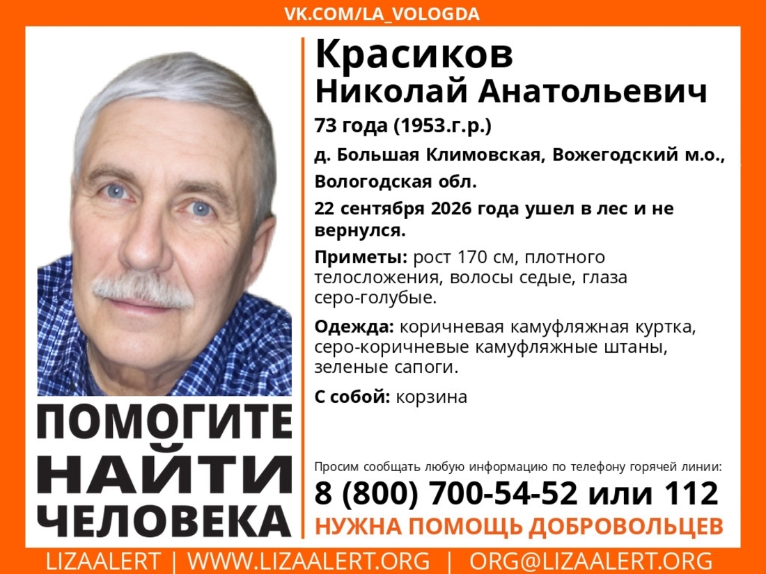Ушедшего в лес пенсионера ищут в Вожегодском округе