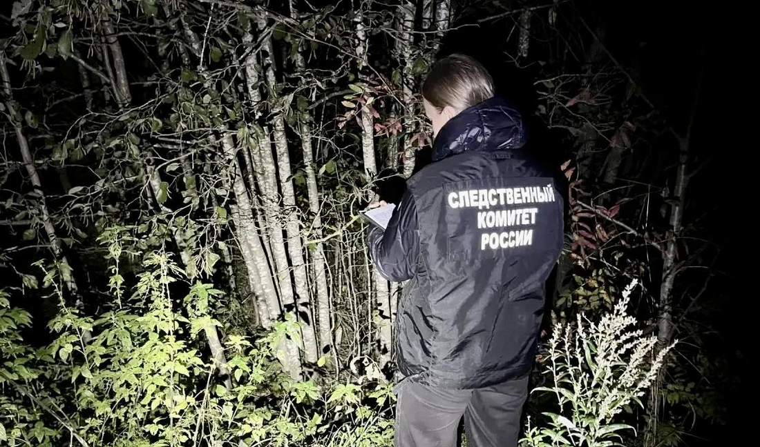 Медведь насмерть загрыз пенсионера в Усть-Кубинском округе