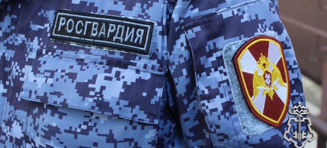 Вологжанка обокрала несколько ящиков для пожертвований 