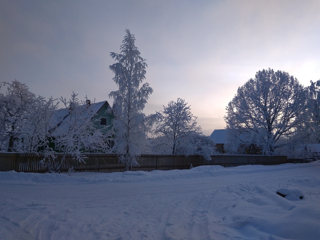 Сильные морозы обойдут Вологодскую область стороной 