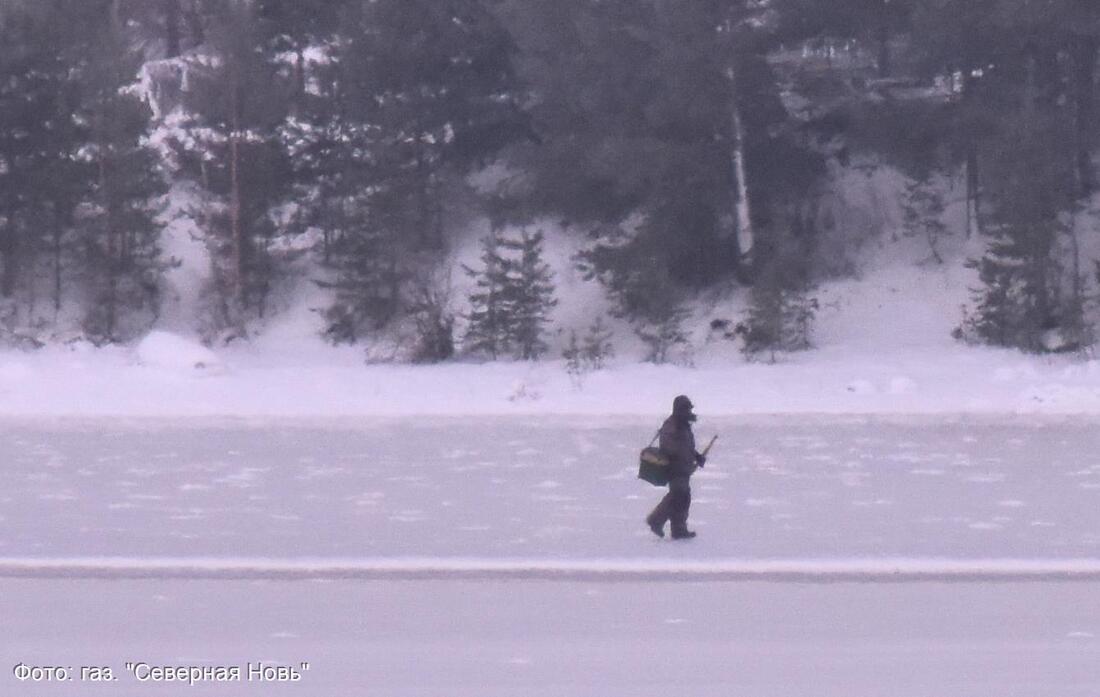 Сезон бессмертных открыт: вологодские рыбаки начали выходить на неокрепший лёд