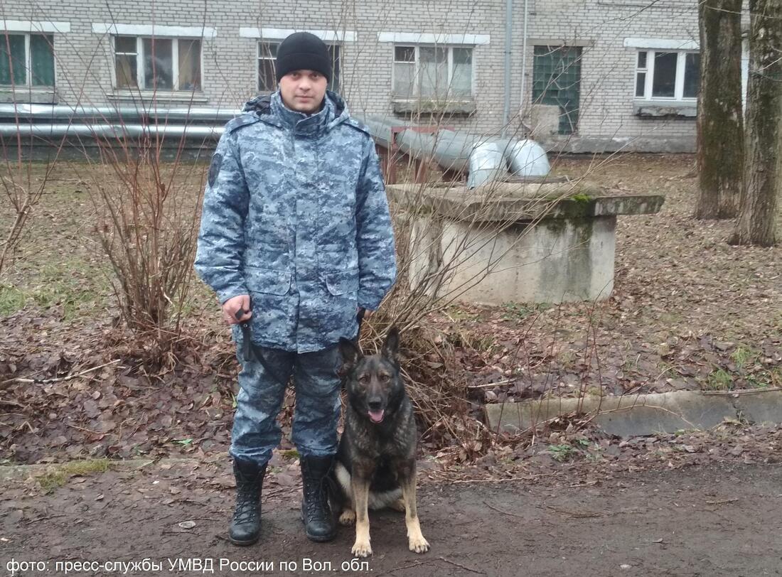 Череповецкий кинолог со служебной собакой нашёл двух пропавших детей 