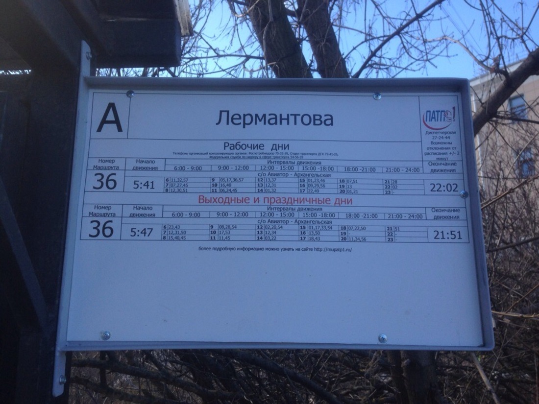 Городские неучи: в Вологде развесили автобусные аншлаги с грубыми орфографическими ошибками