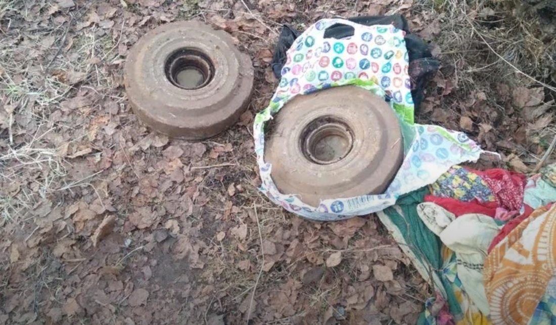 Боеприпасы нашли в Грязовце при очистке территории у пруда 