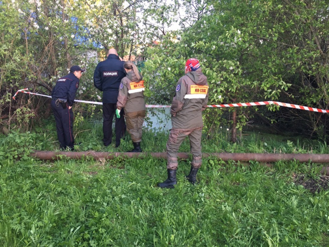 74-летнюю пенсионерку, пропавшую в Устье, нашли утонувшей в пруду