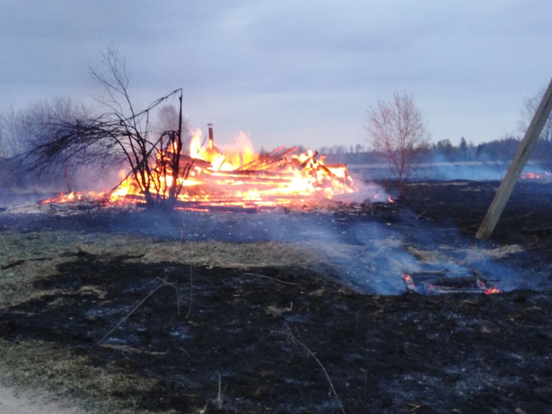 Половина села уничтожена огнём: крупный пожар в Бабаевском районе