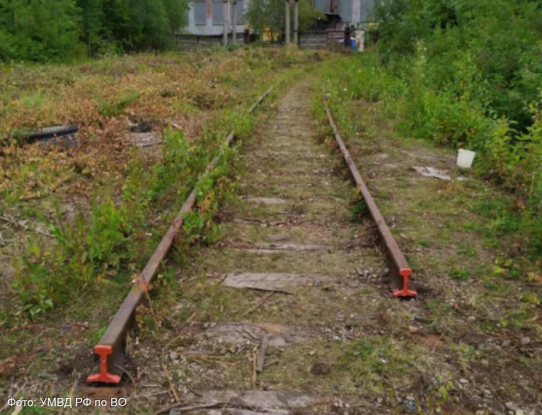 Группа череповчан похитила с территории предприятия 14 тонн железнодорожных рельс