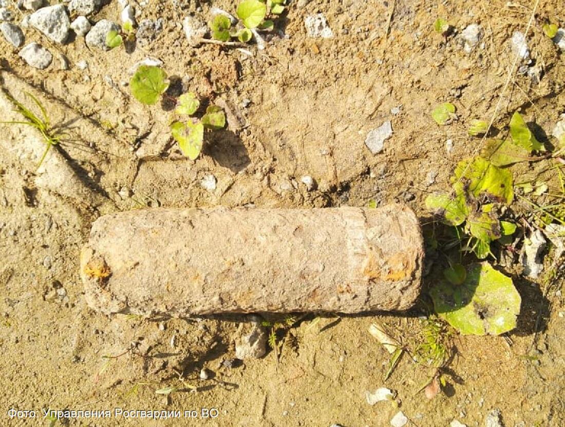 Артиллерийский снаряд обнаружил на своём участке житель череповецкой деревни
