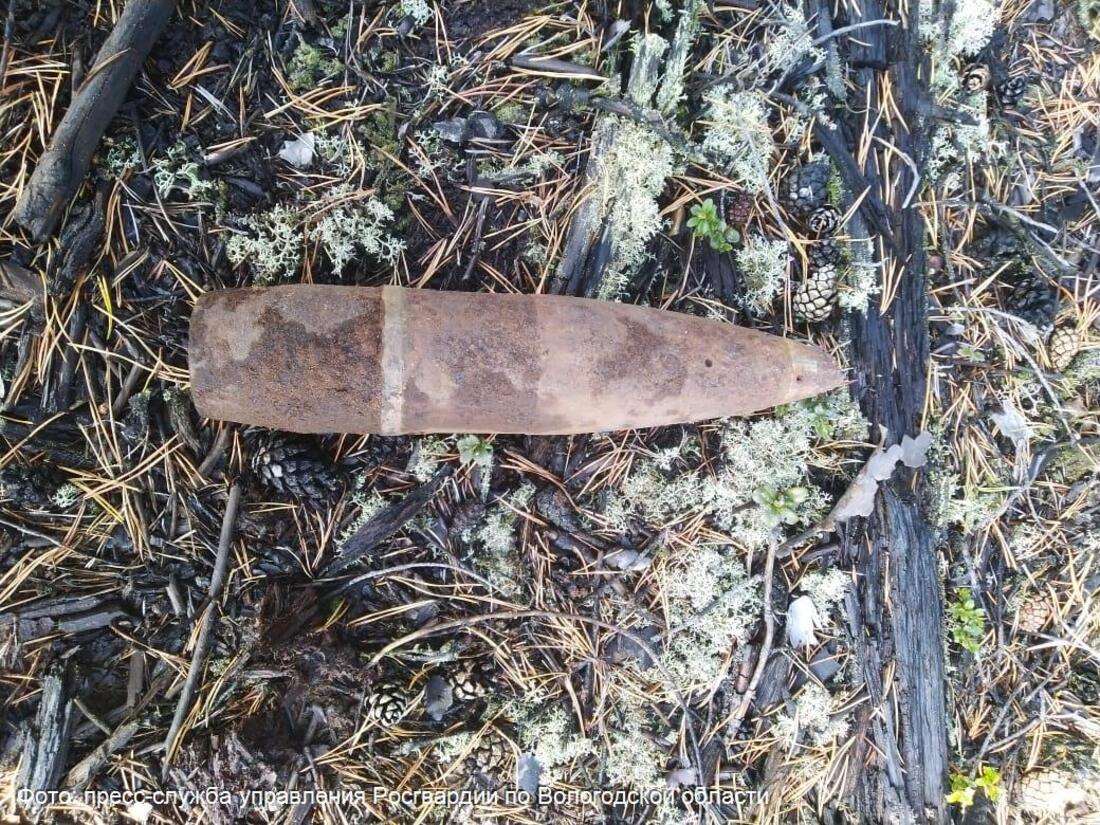 Снаряд времён ВОВ нашли в Бабаевском районе