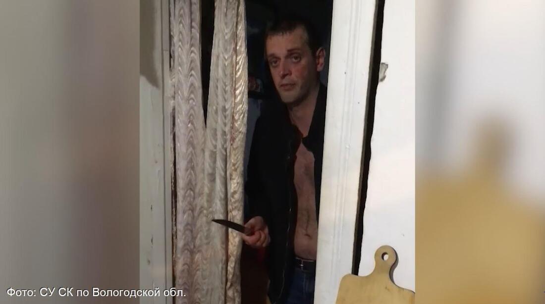 Полицейский из Вологды выстрелил в вооружённого ножом преступника