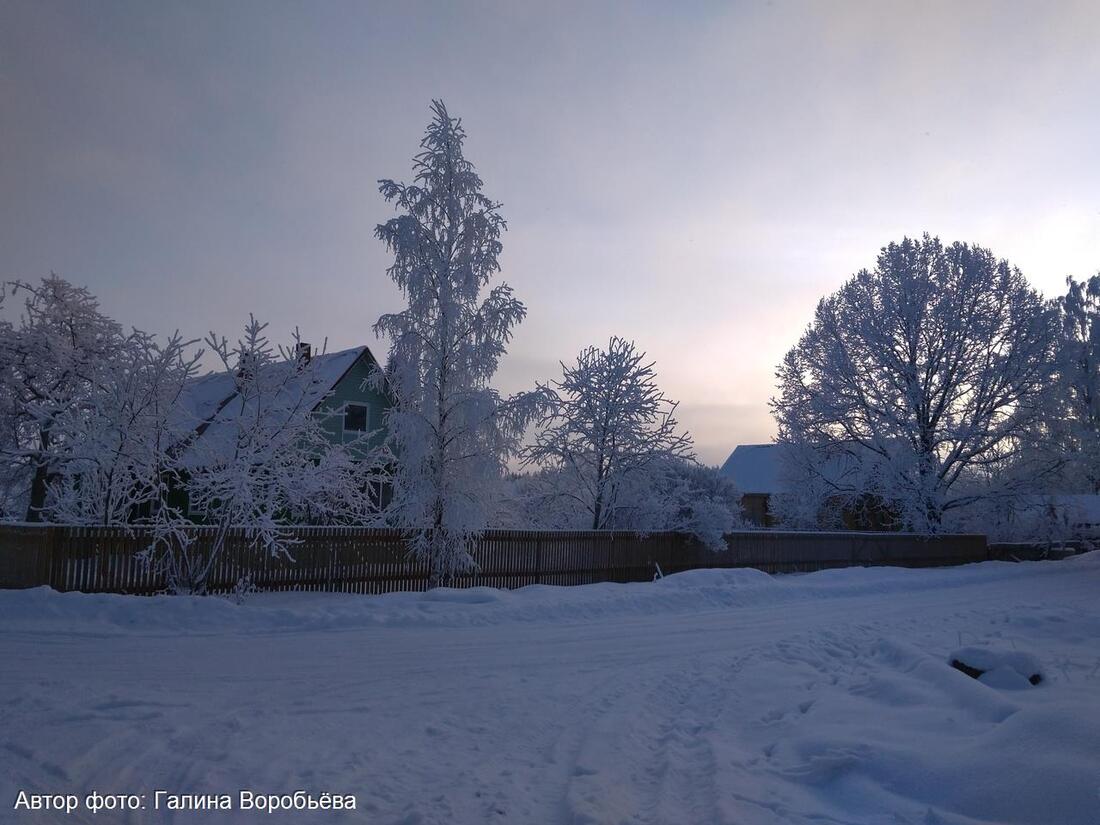В Вологодской области ударят морозы до -31 градуса
