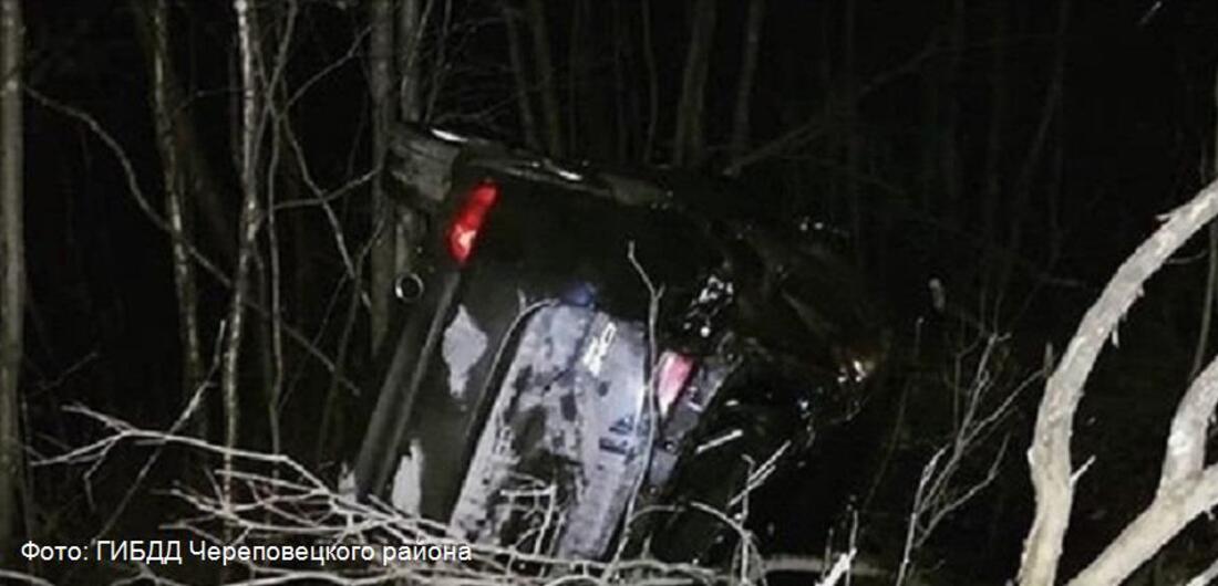 Водитель из Череповца сбил насмерть лося и оказался в больнице