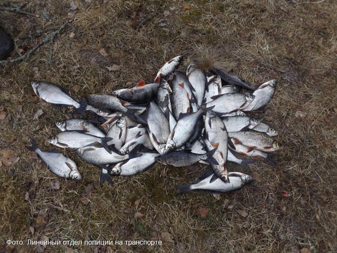 Пятерых браконьеров поймали на Рыбинском водохранилище