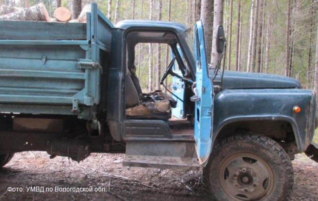 Наломал дров: в Чагодощенском районе задержали «чёрного» лесоруба