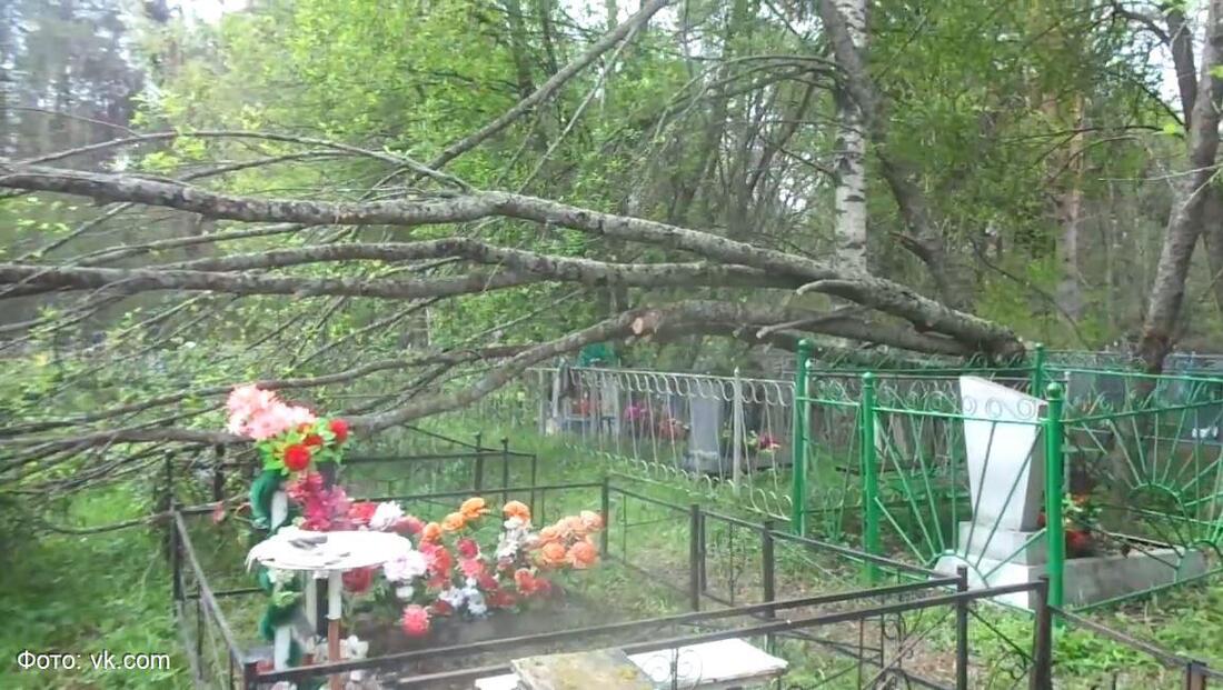 Вологодский блогер нарушил административный запрет и пришёл на кладбище