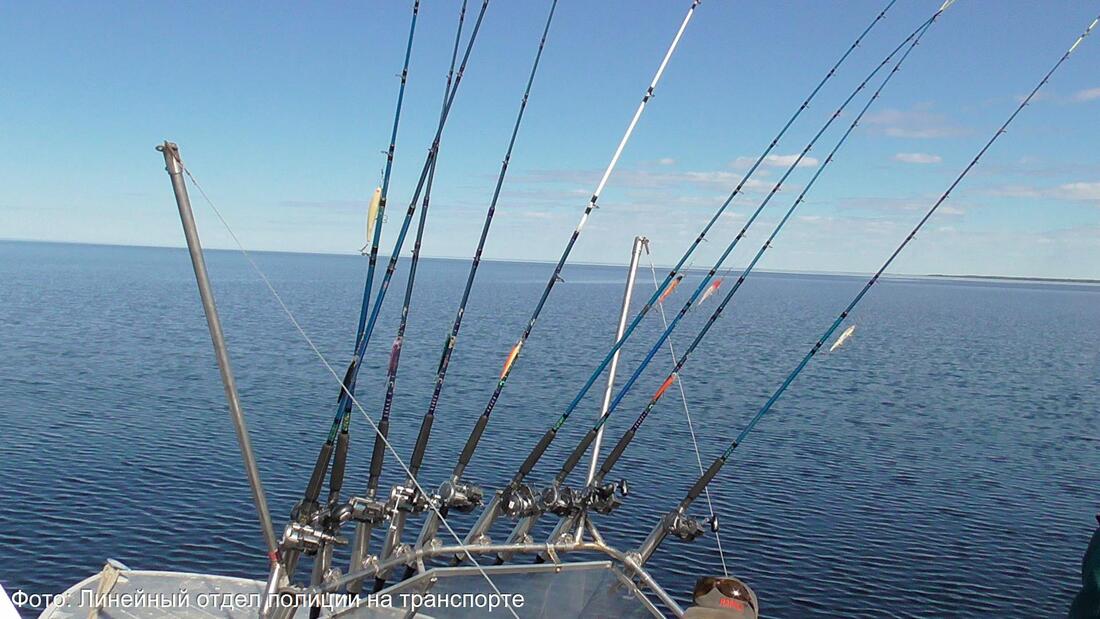 Рыбный троллинг: на Онежском озере поймана группа браконьеров