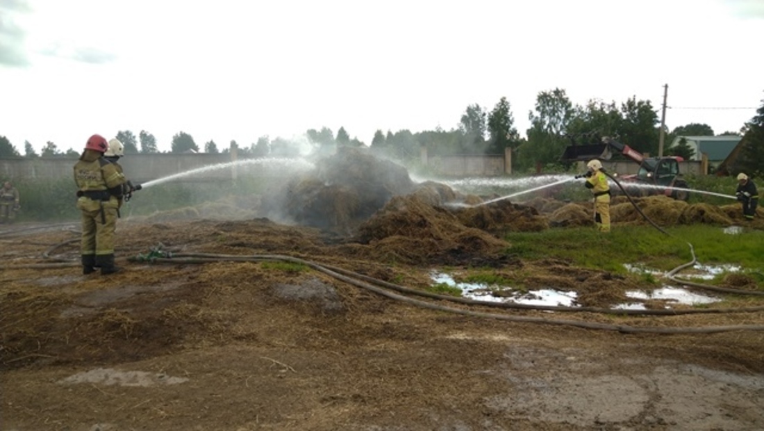 Неизвестные подожгли сено сельхозкооператива в Вологодском районе