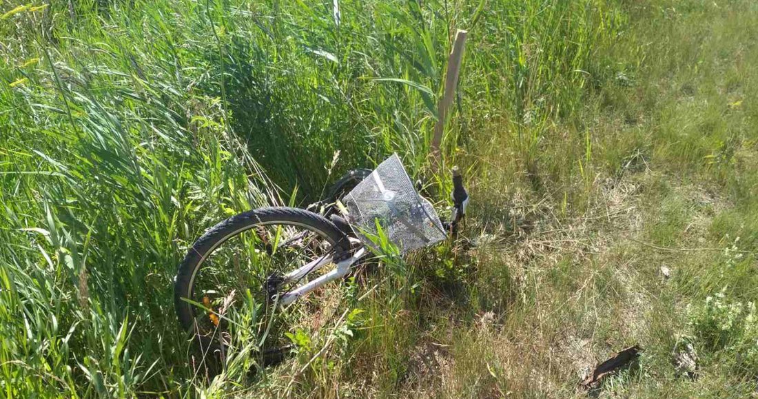 В Сокольском районе насмерть сбили велосипедиста