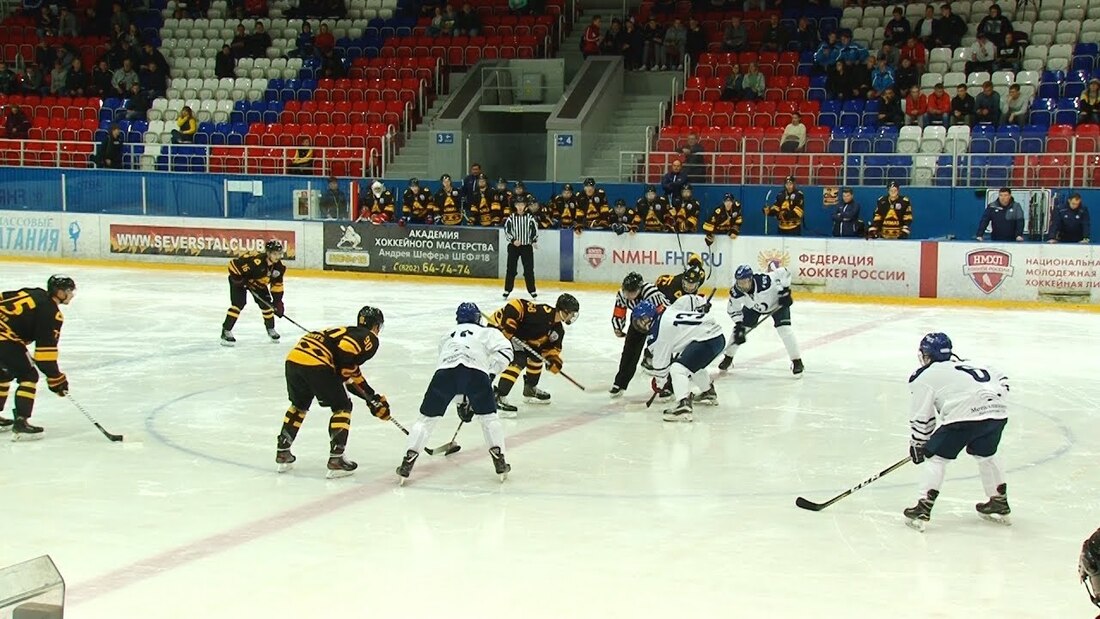 Вологодская область отказалась от хоккейного турнира на Кубок космонавта Беляева