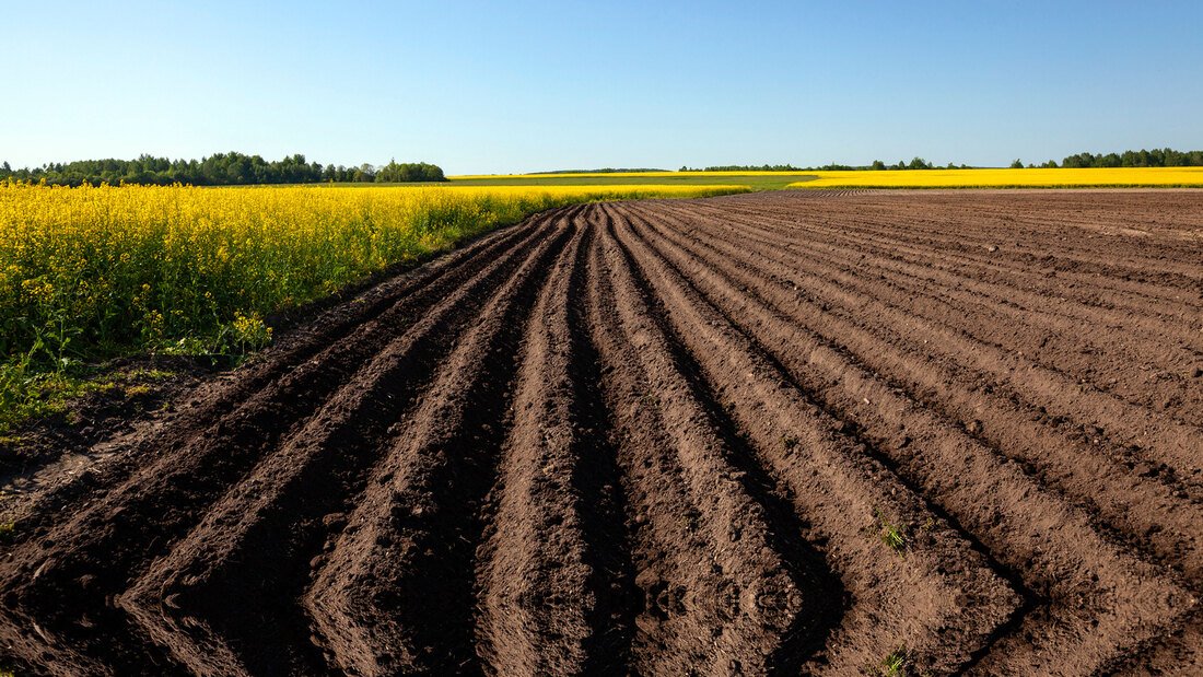 Вологодские земли готовят для реализации сельскохозяйственных задач
