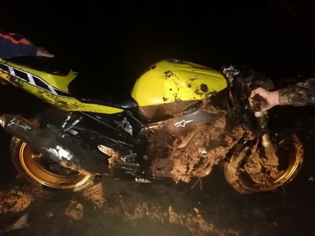 Череповецкий мотоциклист впал в кому в результате ДТП с лосём
