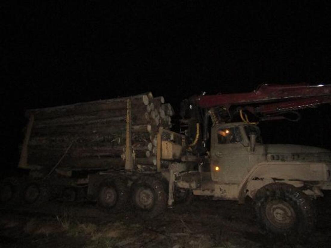 За незаконную рубку леса задержан житель Бабушкинского района