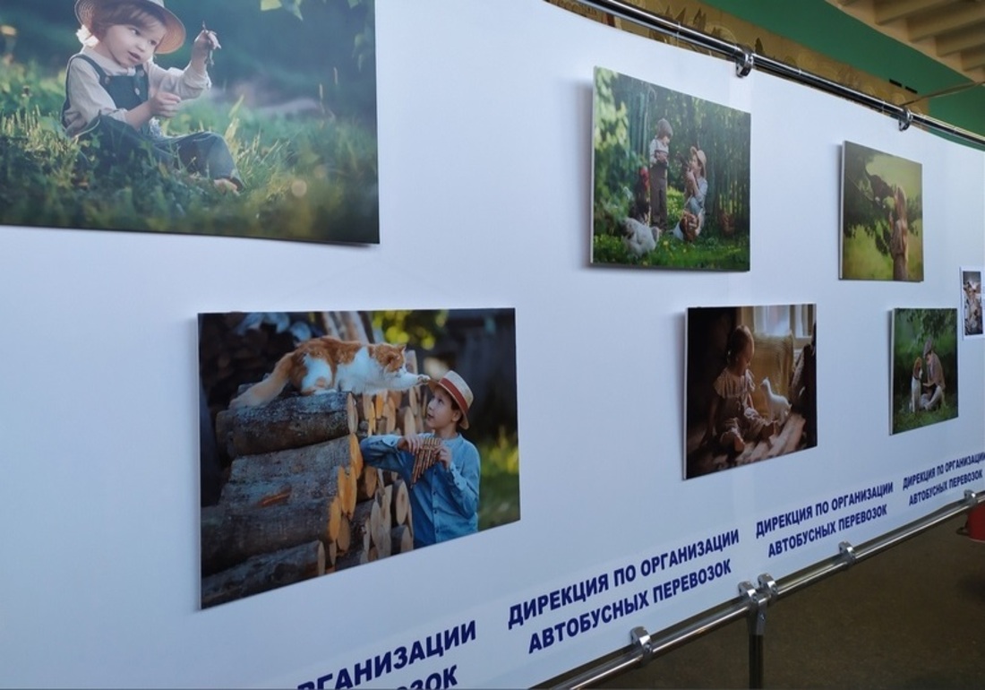 Выставка фоторабот Насти Легких открылась на автовокзале Вологды