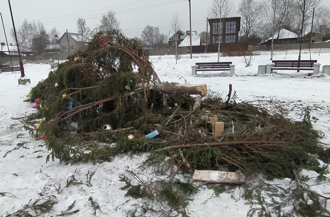 Неизвестные уронили новогоднюю ёлку в Вологде