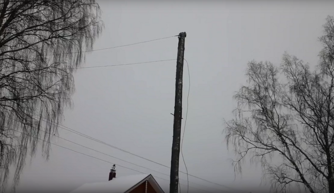 Клюющий электрический столб дятел попал на видео жителя Кадуйского района