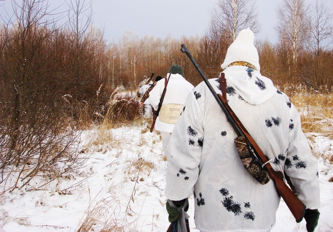Сезон охоты на кабана, пушных зверей и боровую дичь завершается в Вологодской области