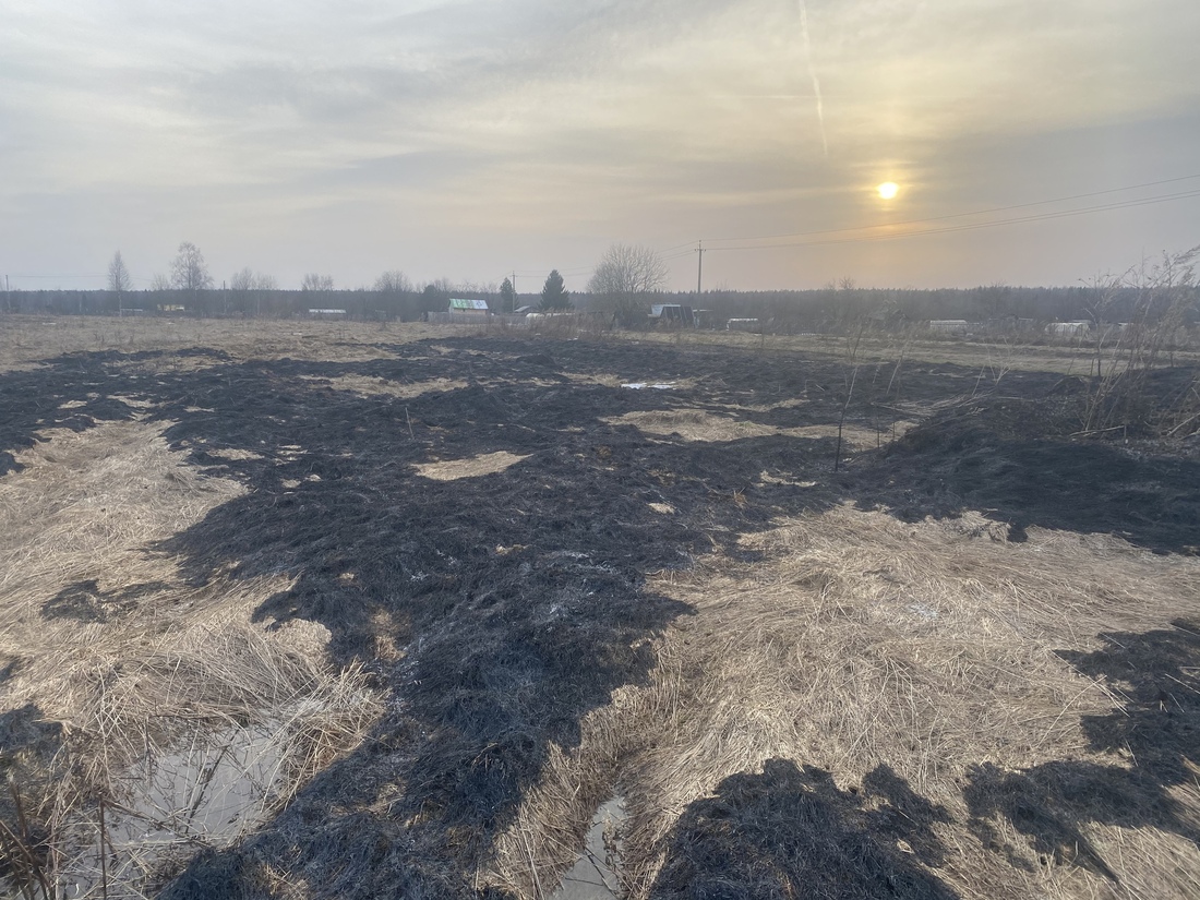 8 масштабных палов сухой травы произошли в Вологодской области