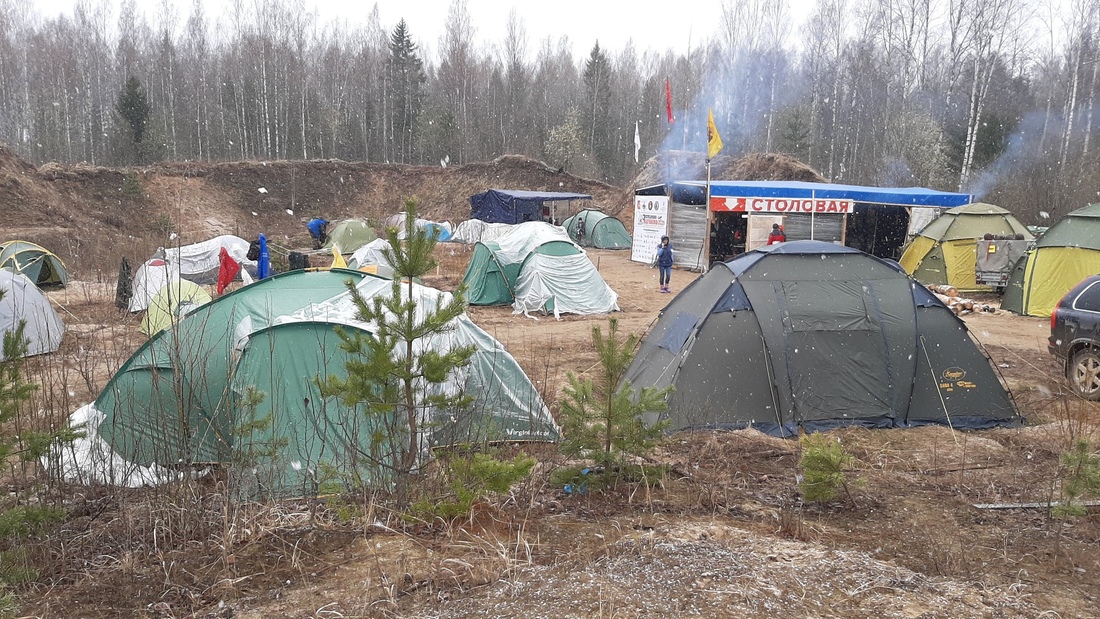 Вологжане помогли найти останки более 20 красноармейцев в Ленинградской области
