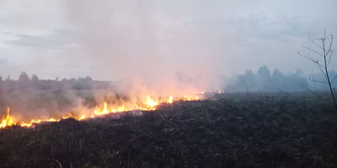 15 гектаров сухой травы сгорело под Вологдой
