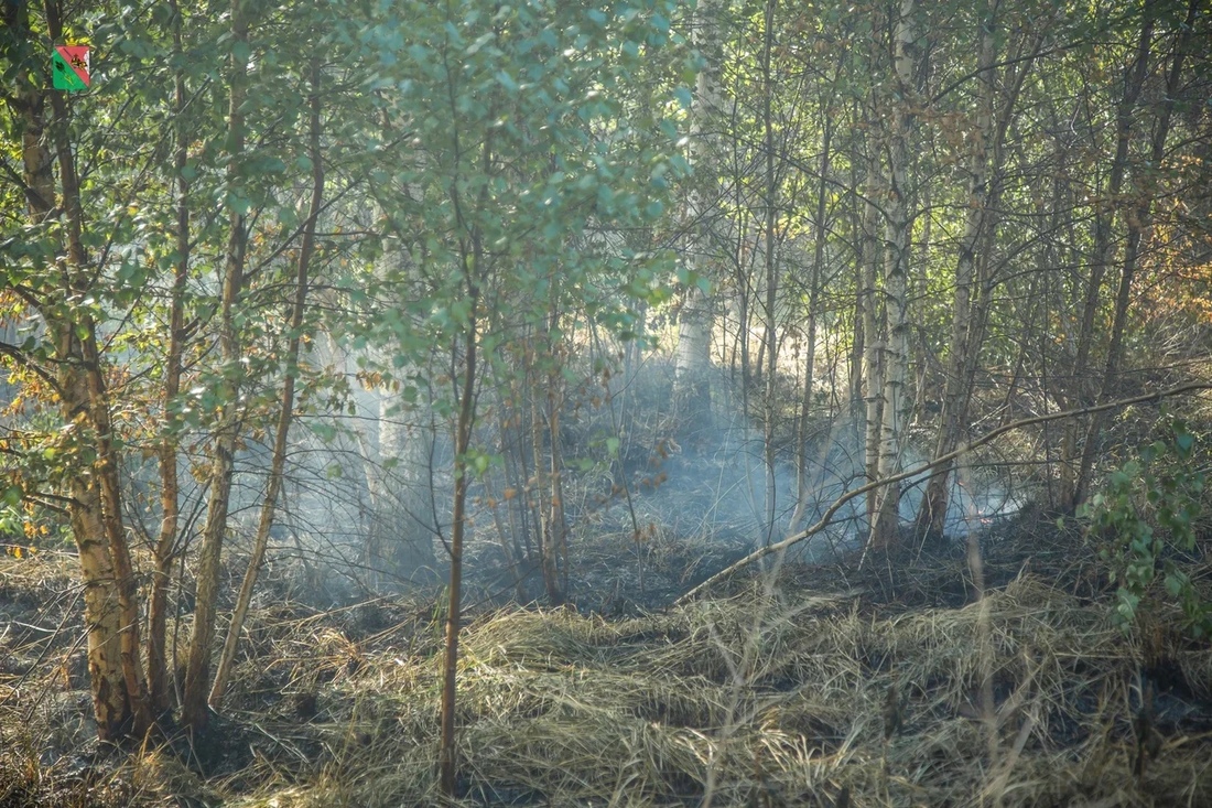 Первый крупный торфяной пожар зафиксировали под Вологдой