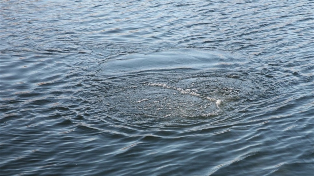 Мужчина утонул в реке в одном из районов Сокола