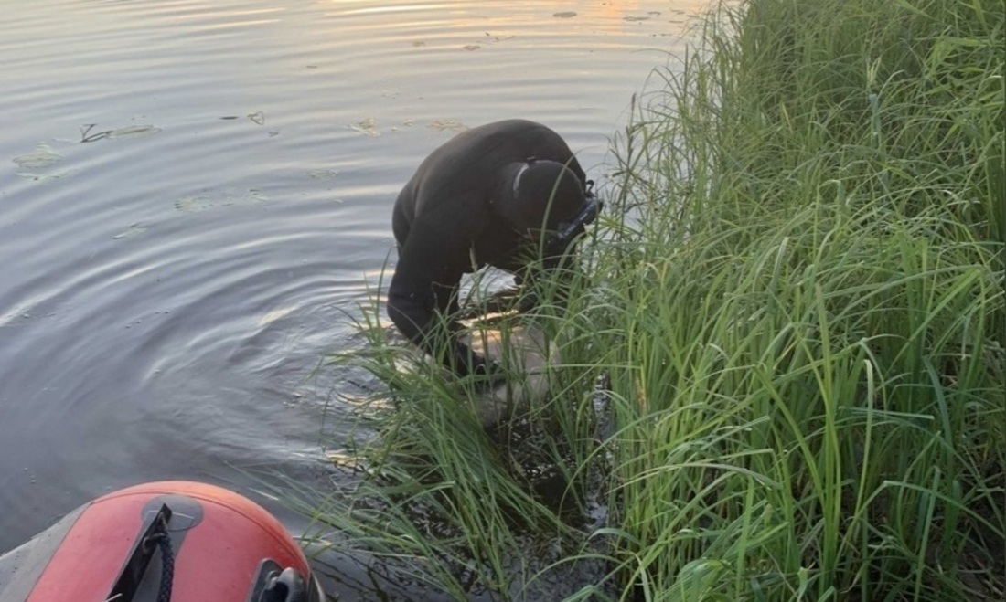 Двое мужчин утонули в Вологодской области