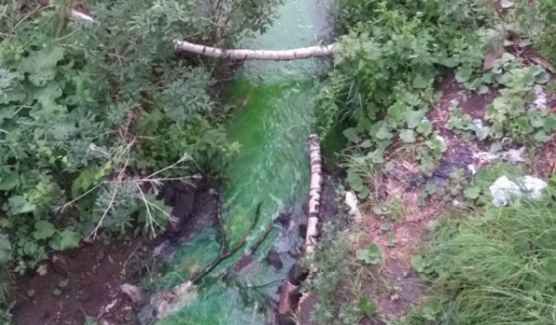 Река Вологда приобрела ярко-зелёный оттенок в микрорайоне Лукьяново