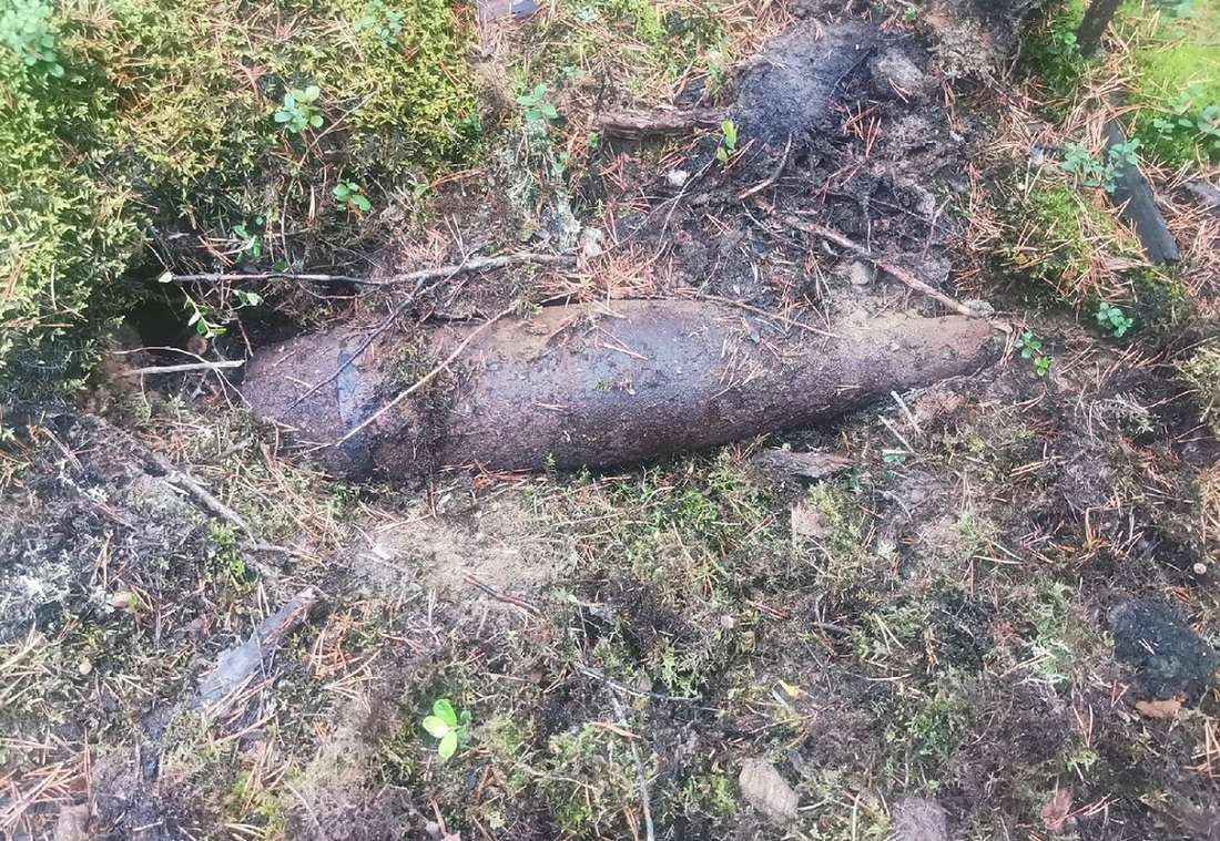 Снаряд времён ВОВ обнаружен в лесу Бабаевского района