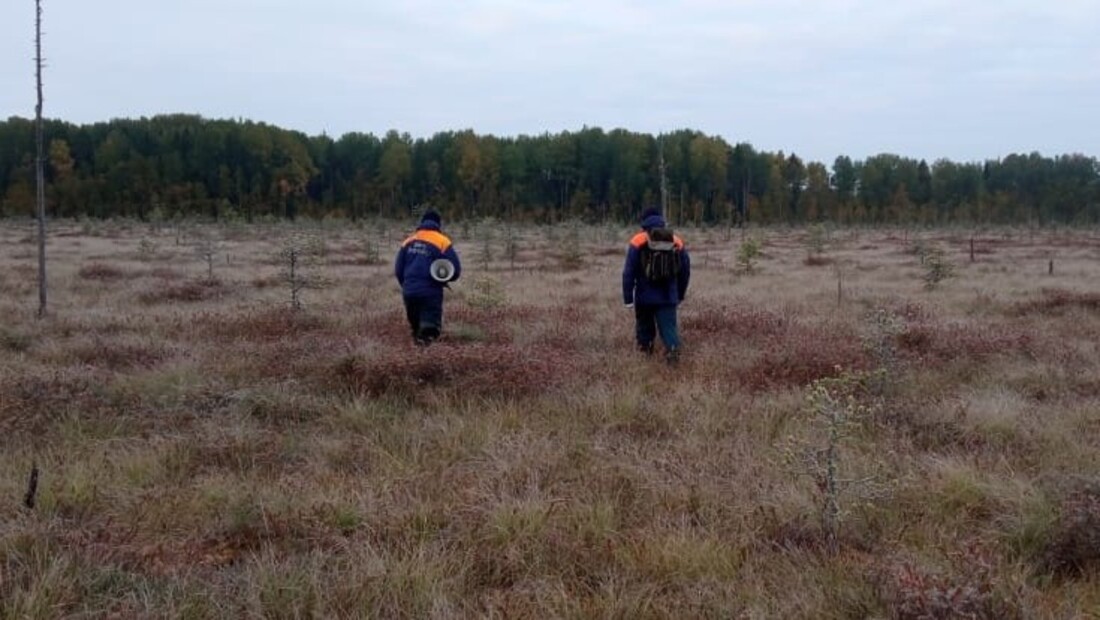 Два пожилых мужчины и женщина заблудились в лесах Вологодской области