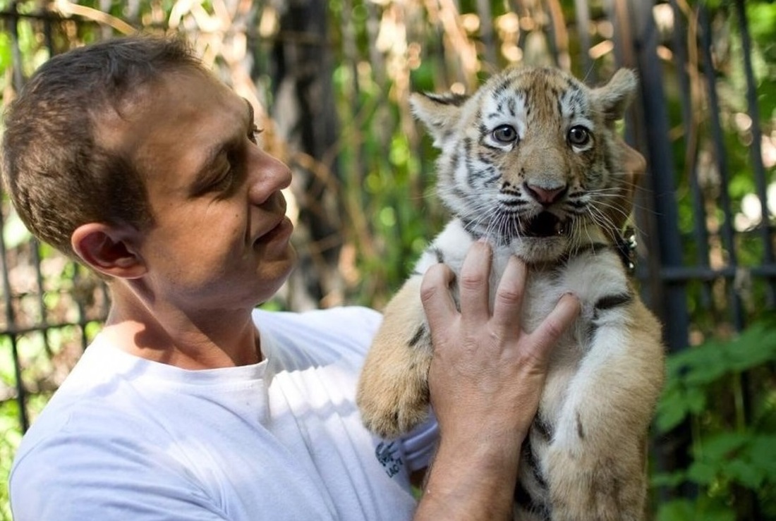 Новым руководителем великоустюгского зоопарка стал Андрей Солодков